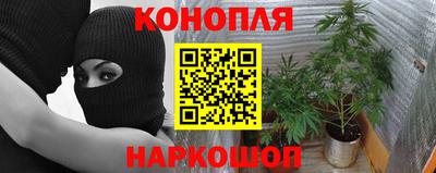 метадон Новозыбков