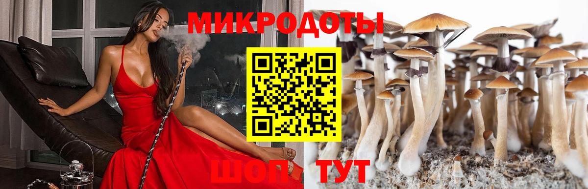 Тавда  Псилоцибиновые грибы GOLDEN TEACHER  Вход с VPN 